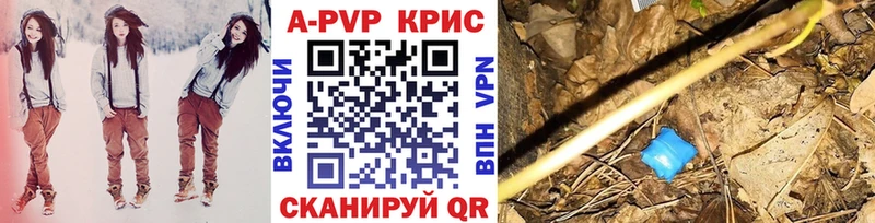 где купить наркоту  Кадников  APVP Crystall 