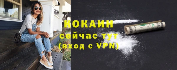 spice Елизово