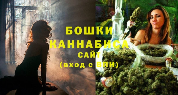 шишки Ельня