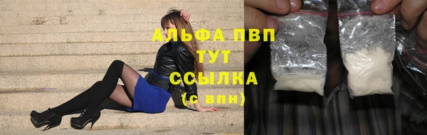 spice Елизово