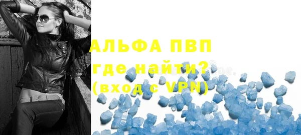 шишки Ельня