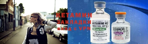 шишки Ельня
