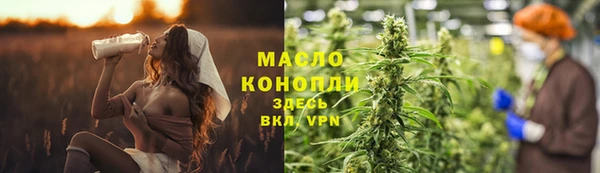 шишки Ельня