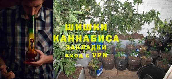 шишки Ельня