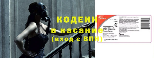 амф Елабуга