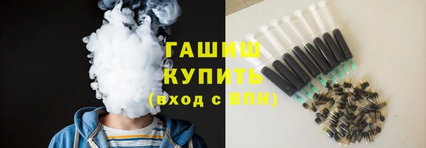 шишки Ельня