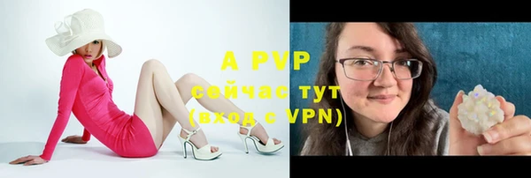 амф Елабуга