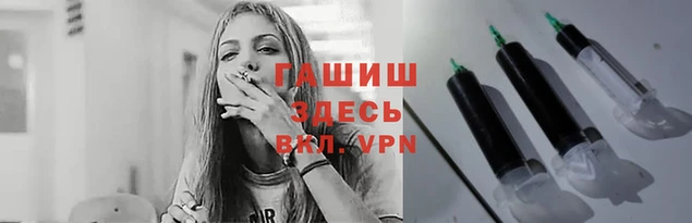 шишки Ельня