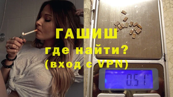 шишки Ельня