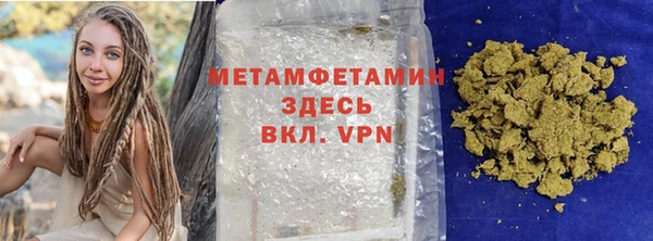 шишки Ельня