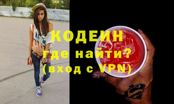 шишки Ельня