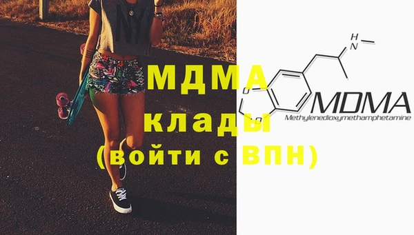 шишки Ельня