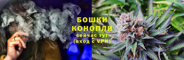 spice Елизово