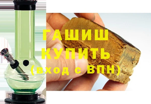 шишки Ельня