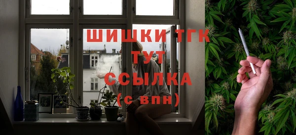 ПСИЛОЦИБИНОВЫЕ ГРИБЫ Ветлуга