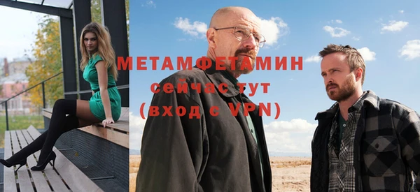 шишки Ельня