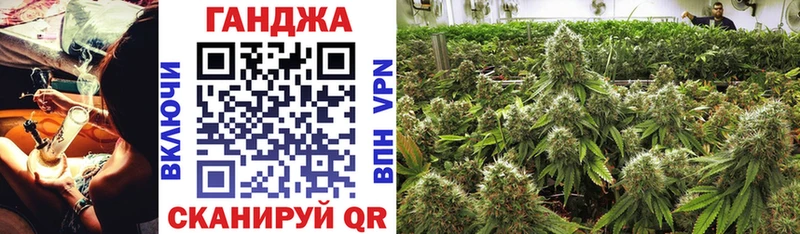 Бошки Шишки гибрид  Кадников 
